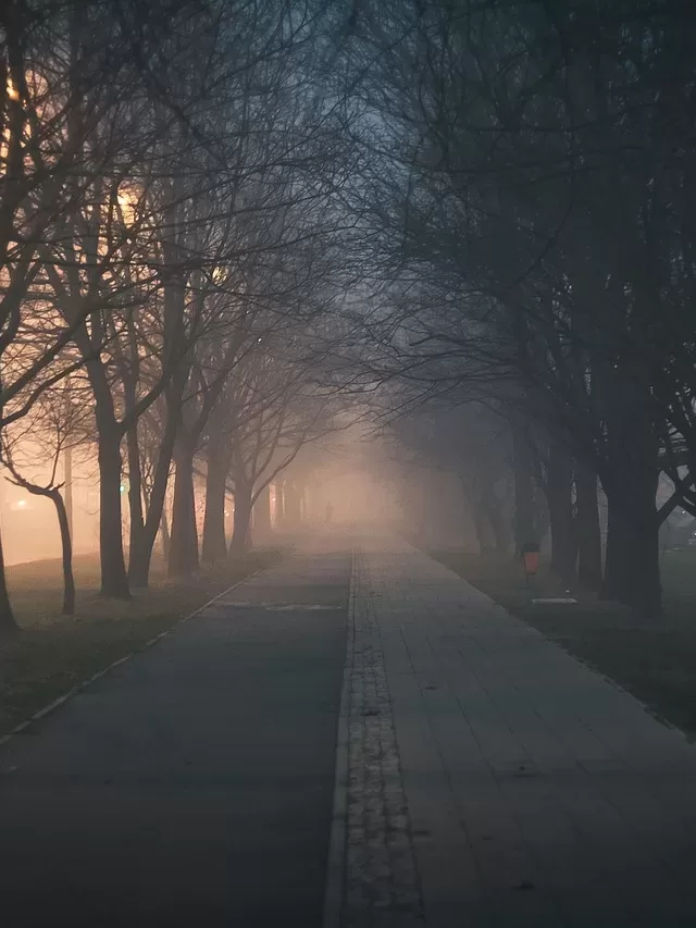 city, walkway, trees-2045453.jpg