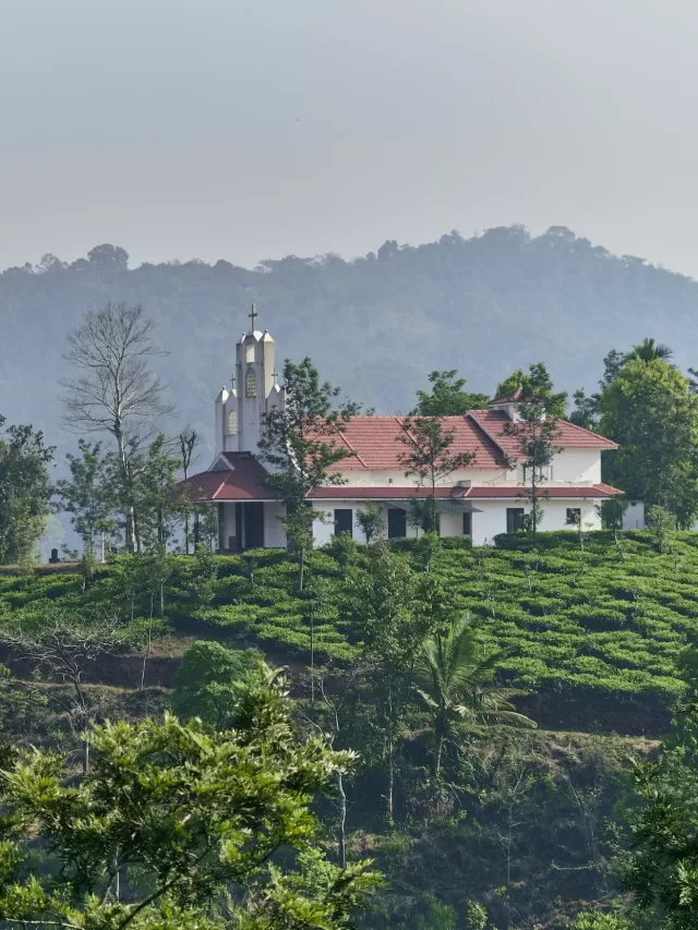 Where is Wayanad? 10 Best Places to Visit in Wayanad